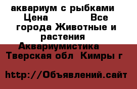аквариум с рыбками › Цена ­ 15 000 - Все города Животные и растения » Аквариумистика   . Тверская обл.,Кимры г.